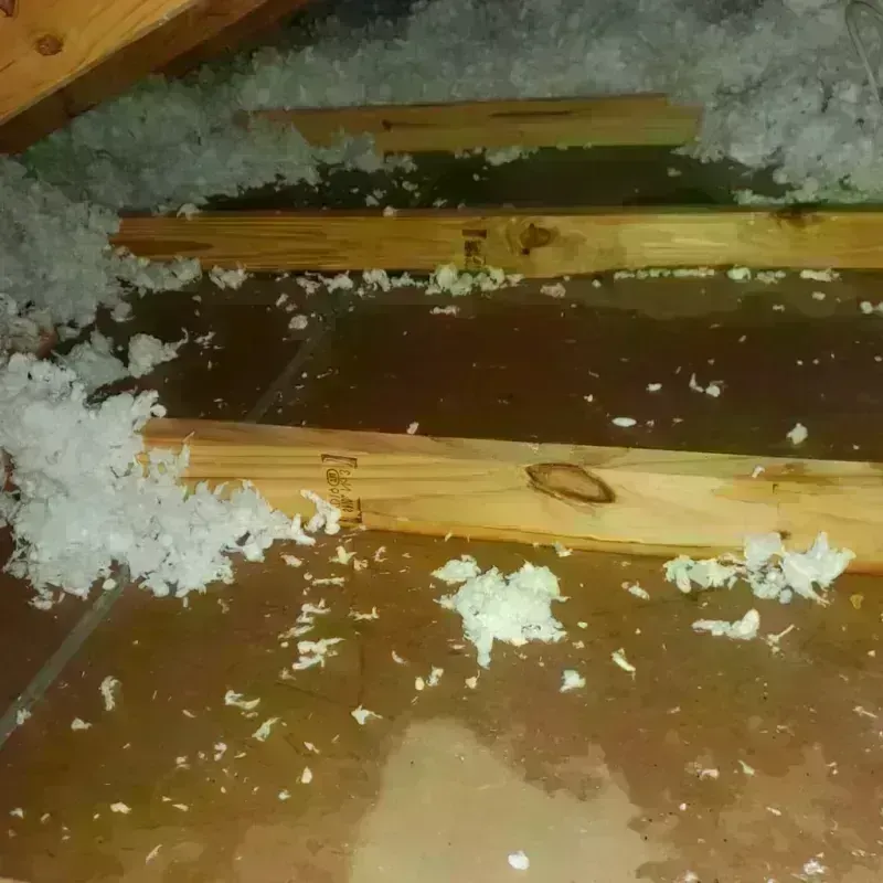 Attic Water Damage in Sibley, IA